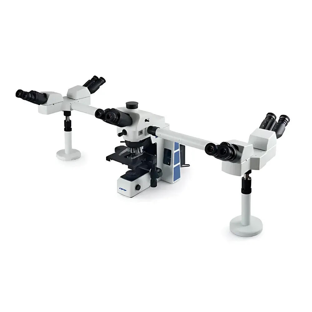 SOPTOP RX50DO5 Multi-Observer Upright Biological Microscope