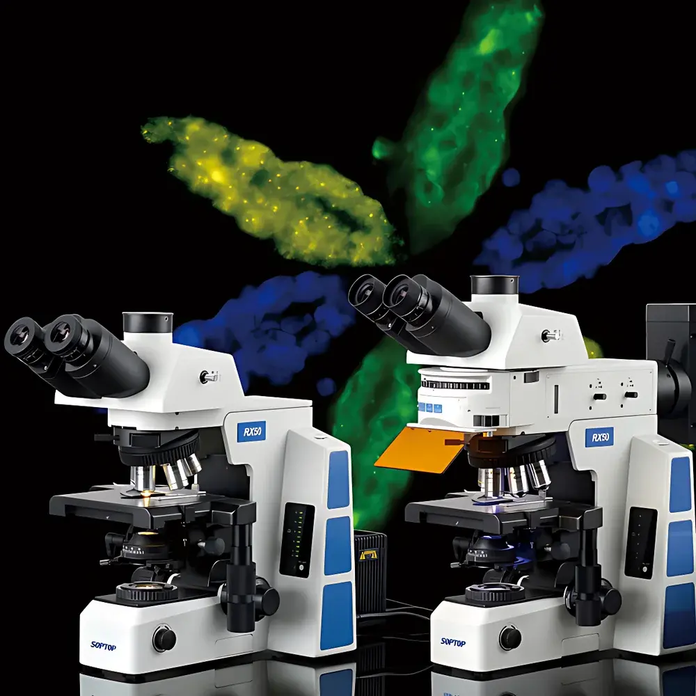 SOPTOP RX50 Research-Grade Upright Fluorescence Microscope