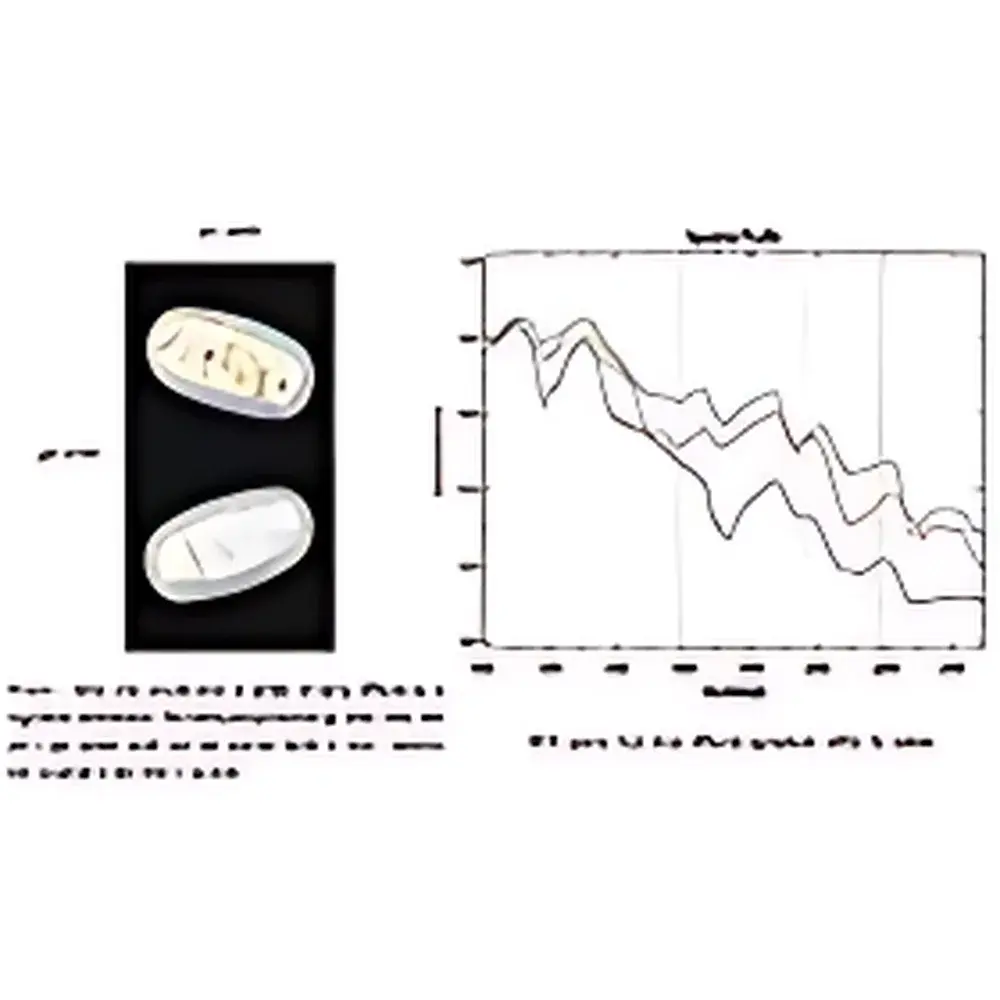 ZOLIX GaiaChem NIR/SWIR Hyperspectral Imaging Spectrometer