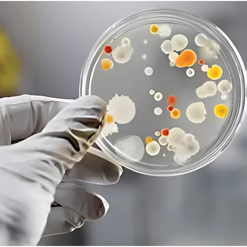 PixelCam™ Series Multispectral Camera