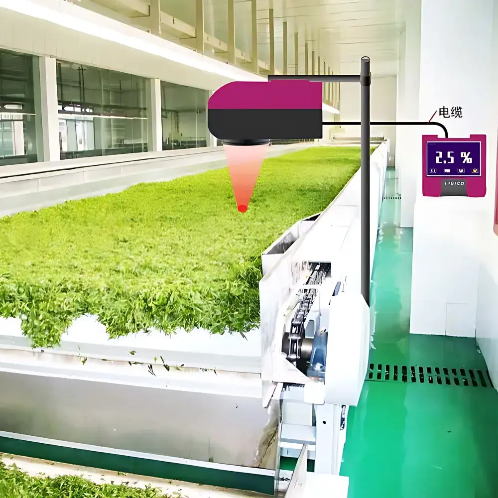 LISICO LS1000 Online Near-Infrared Moisture Analyzer