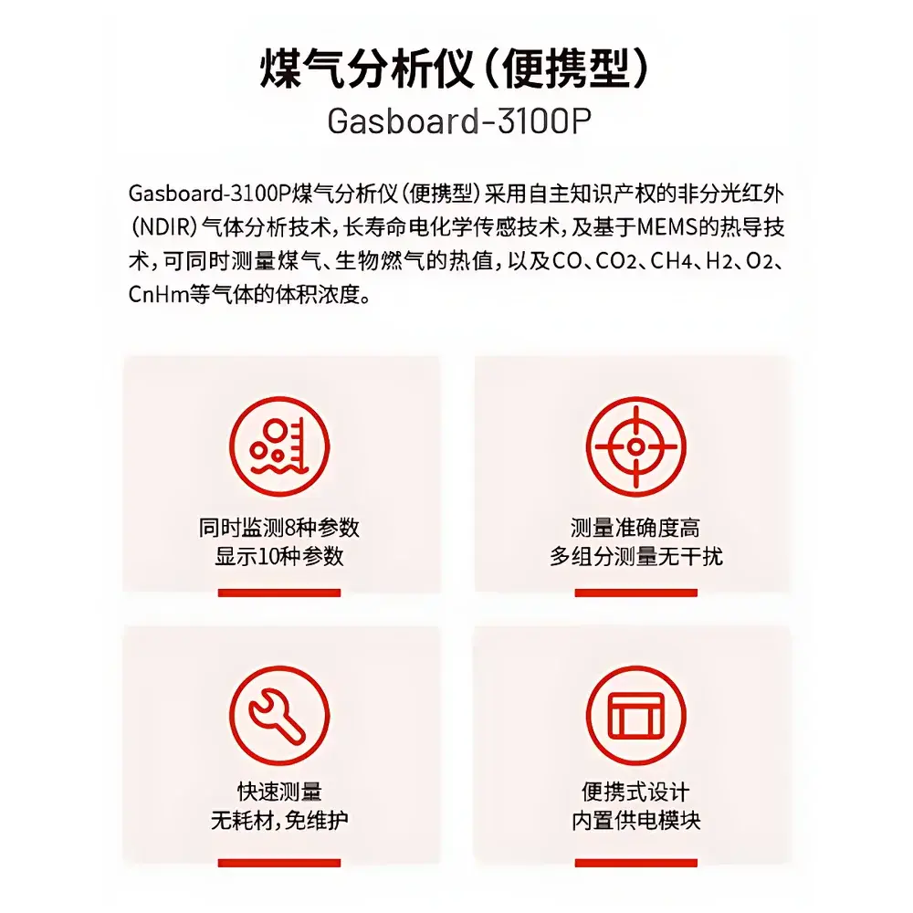 CUBIC Gasboard-3100P Portable NDIR Multi-Gas Analyzer for Biogas and Industrial Syngas