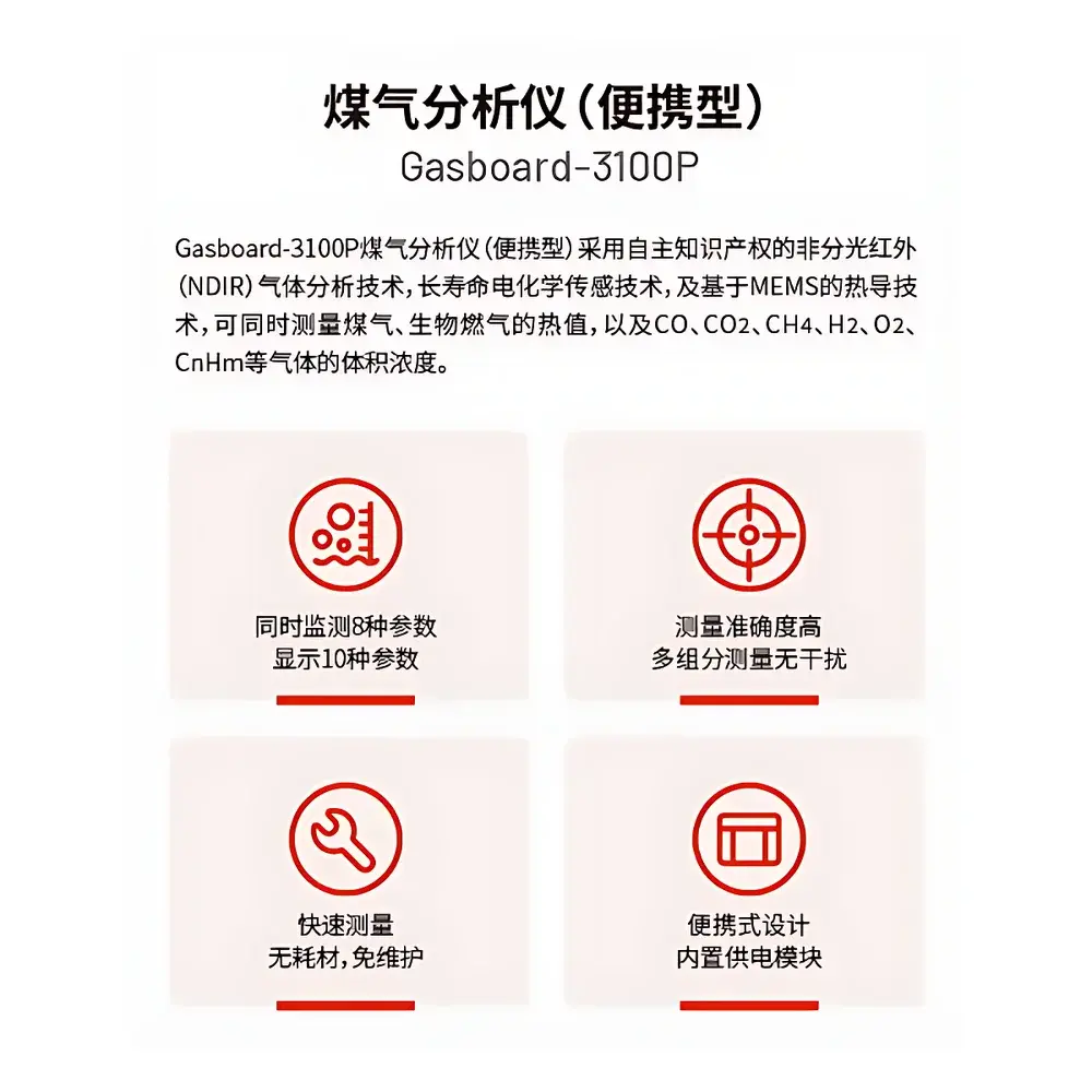 CUBIC Gasboard-3100P Portable Multi-Gas Analyzer for Metallurgical Coke Oven & Blast Furnace Gas