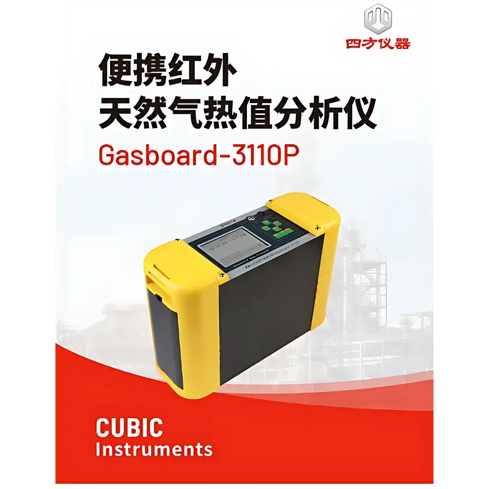 CUBIC INSTRUMENTS Gasboard-3110P Portable NDIR Natural Gas Calorific Value Analyzer