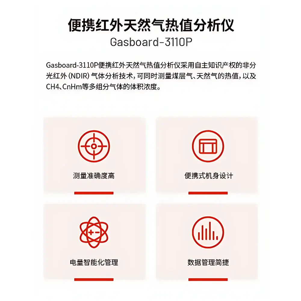 CUBIC INSTRUMENTS Gasboard-3110P Portable NDIR Natural Gas Calorific Value Analyzer