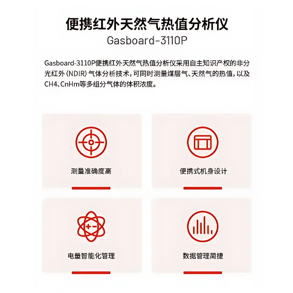 CUBIC INSTRUMENTS Gasboard-3110P Portable Biogas and Natural Gas Calorific Value Analyzer