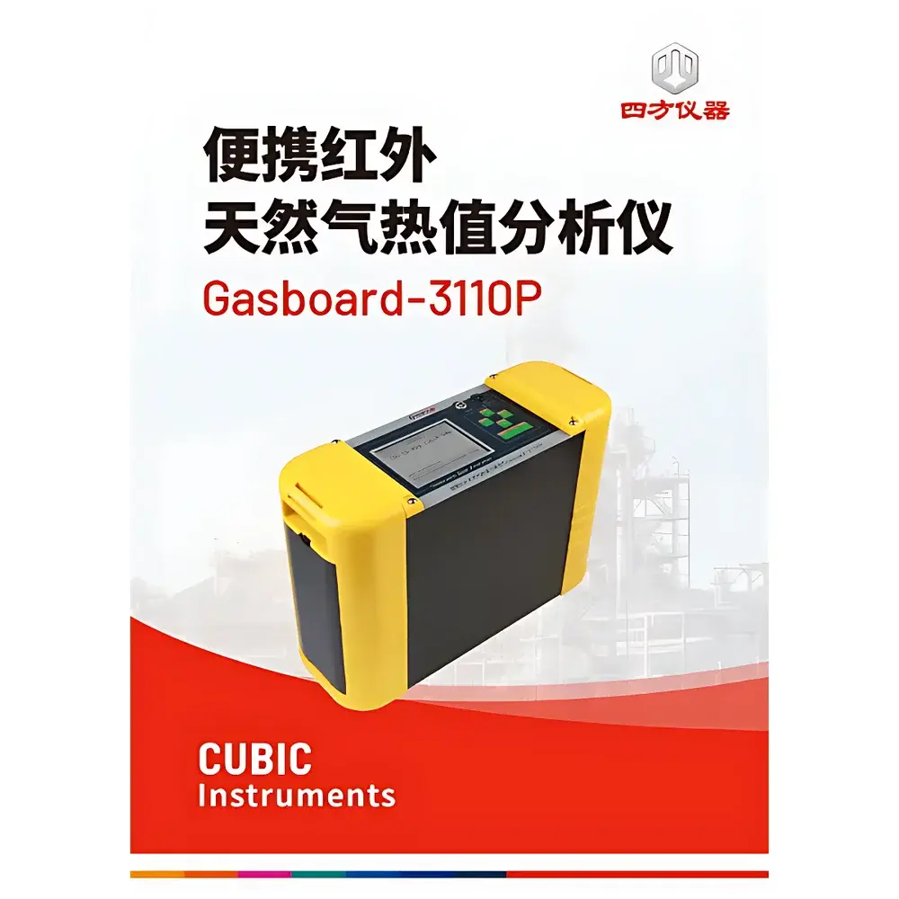 CUBIC INSTRUMENTS Gasboard-3110P Natural Gas Calorific Value Analyzer
