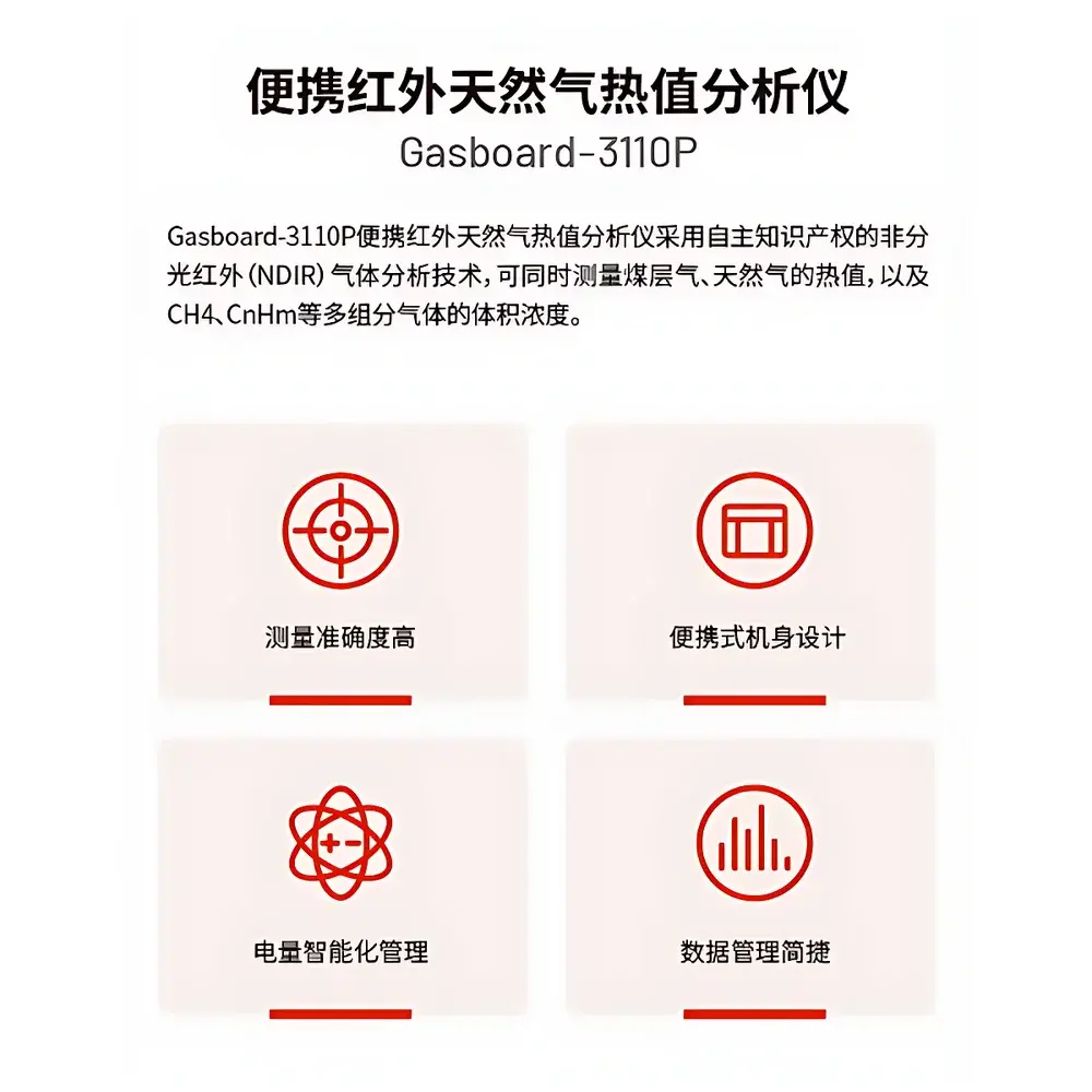 CUBIC INSTRUMENTS Gasboard-3110P Natural Gas Calorific Value Analyzer