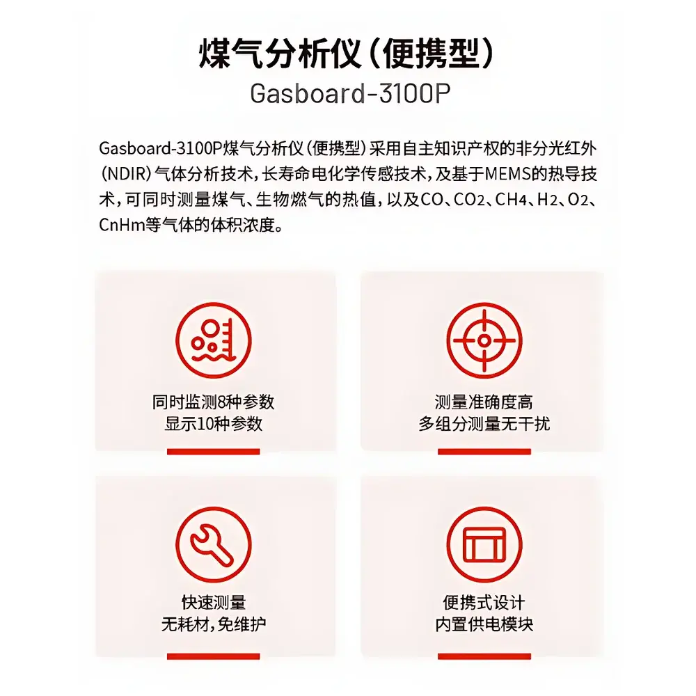 CUBIC Gasboard-3100P Portable NDIR-Based Multi-Gas & Calorific Value Analyzer