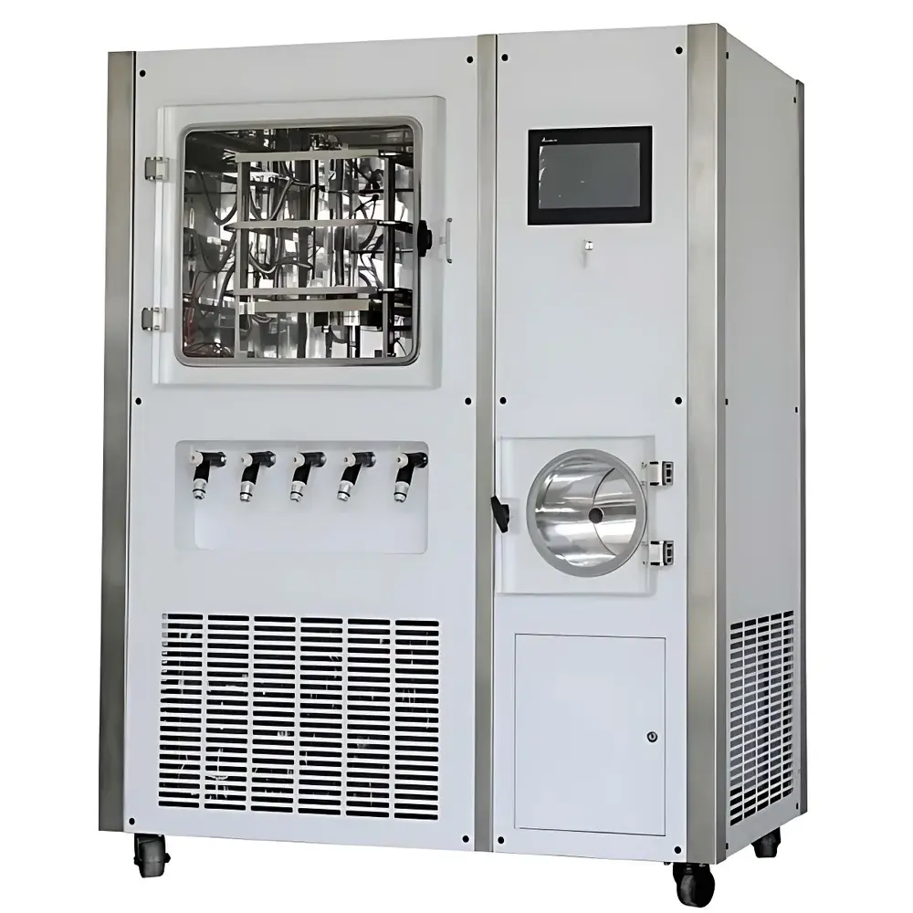 BIOCOOL Pilot3-6H Pilot-Scale Freeze Dryer