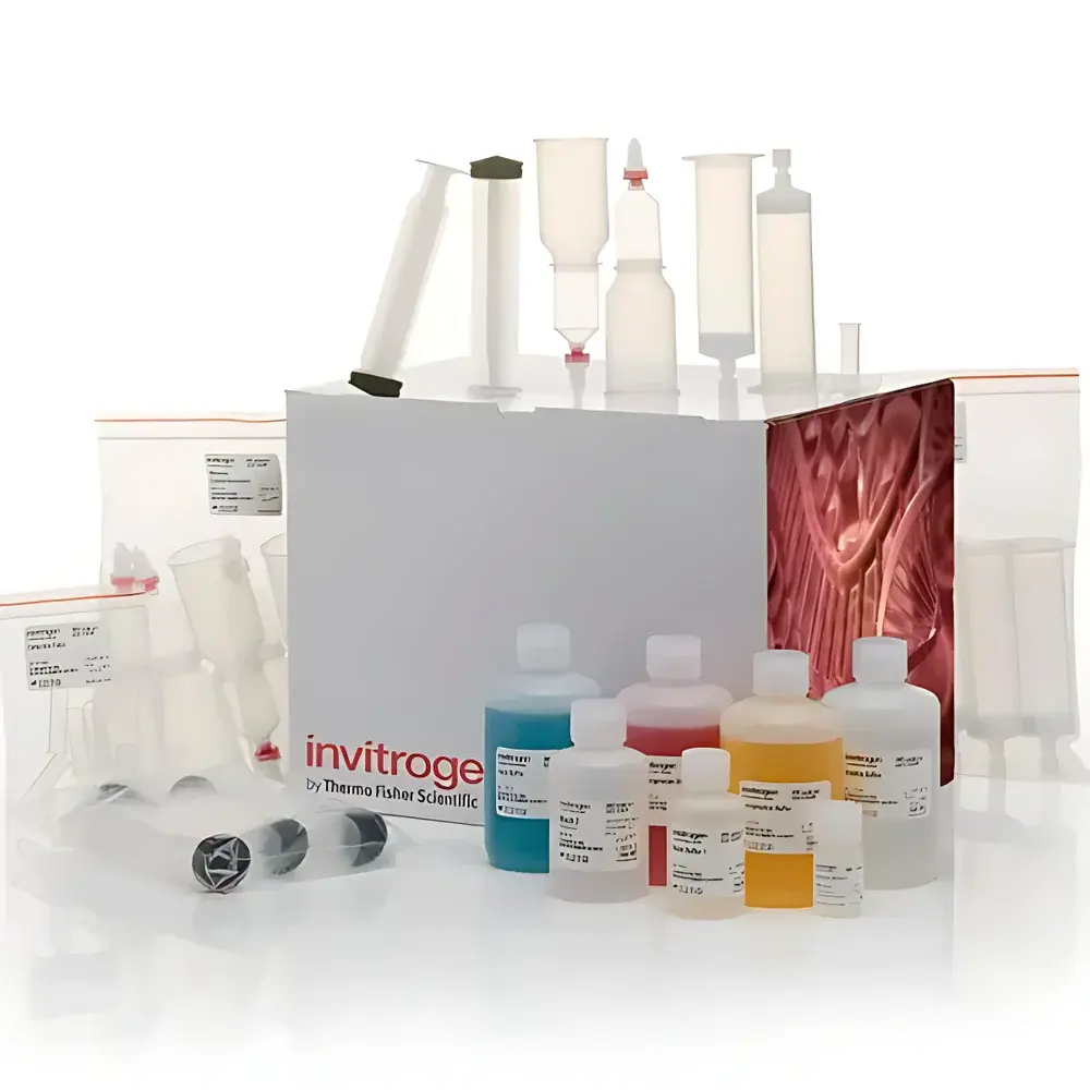 PureLink™ Fast Low-Endotoxin Maxi Plasmid Purification Kit