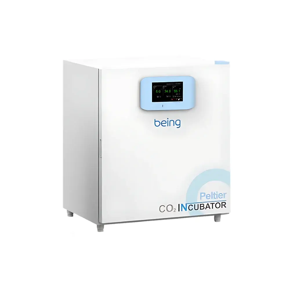 Low Temperature Incubator