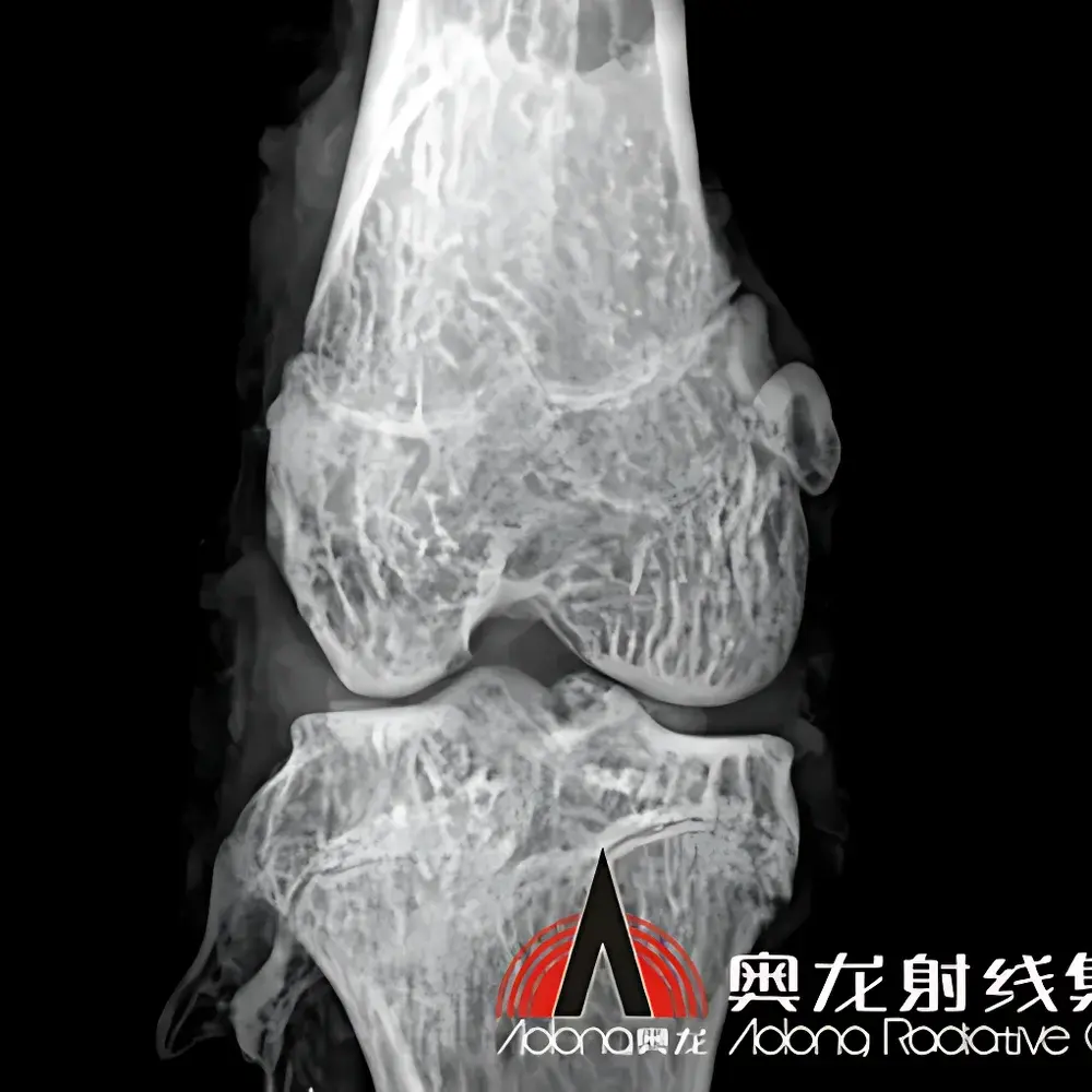 Aolong VISION90 Microfocus X-ray Imaging System for Small Animal and Seed In Vivo Analysis