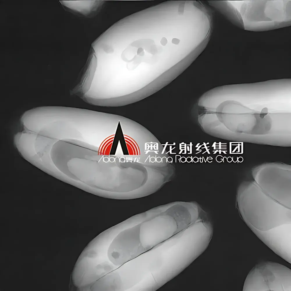 Aolong VISION90 Microfocus X-ray Imaging System for Small Animal and Seed In Vivo Analysis