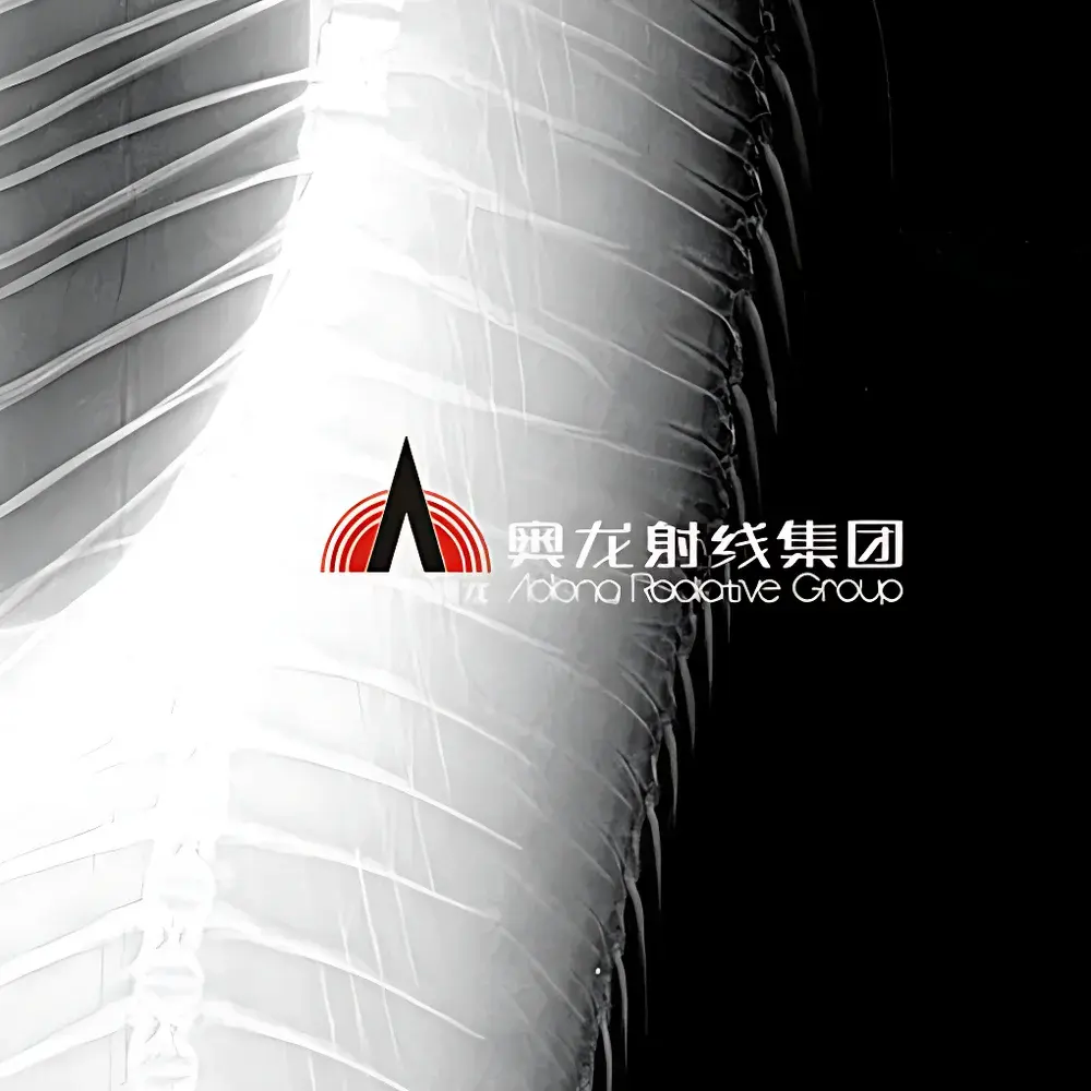 Aolong VISION90 Microfocus X-ray Imaging System for Small Animal and Seed In Vivo Analysis