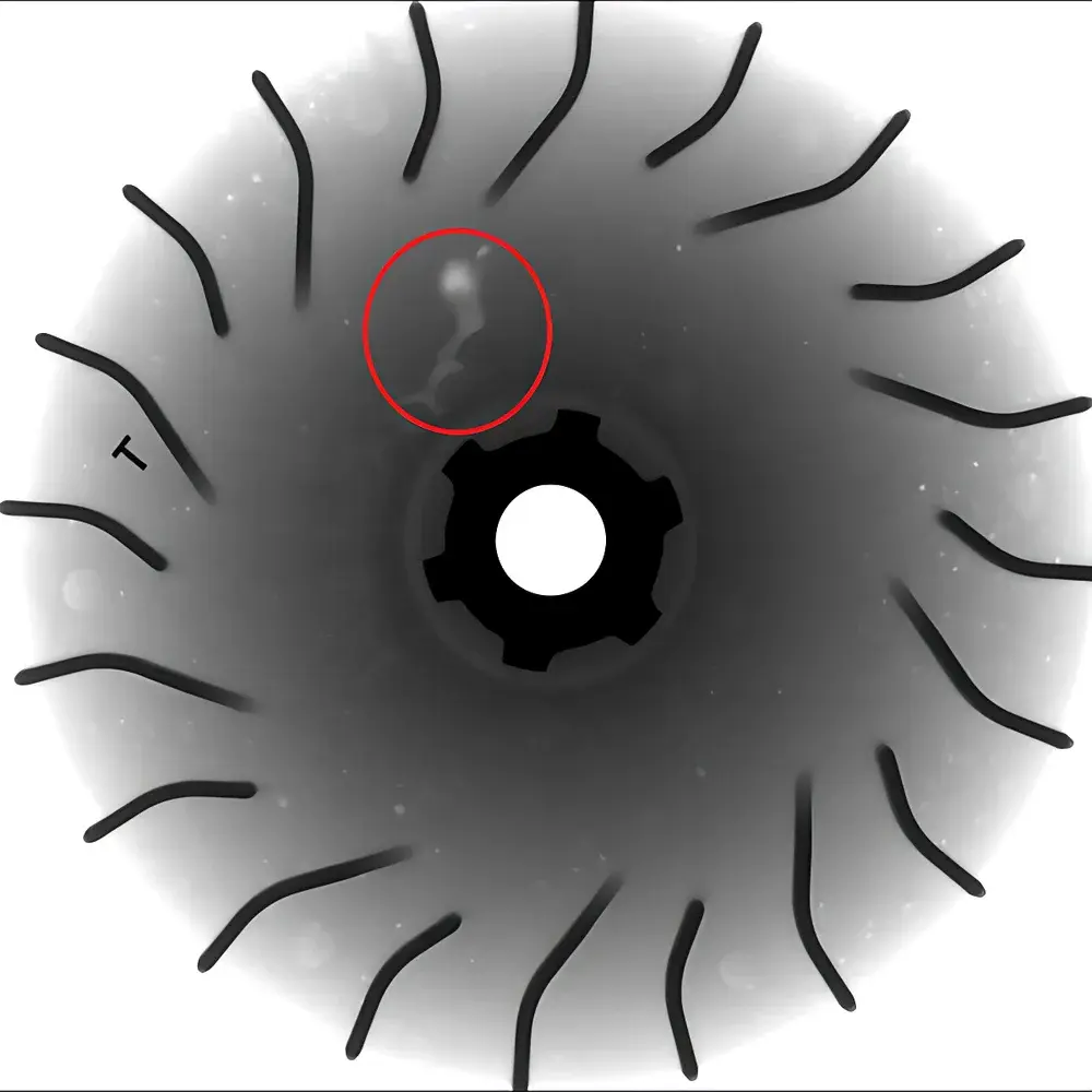 Aolong X-ray Digital Real-time Imaging System
