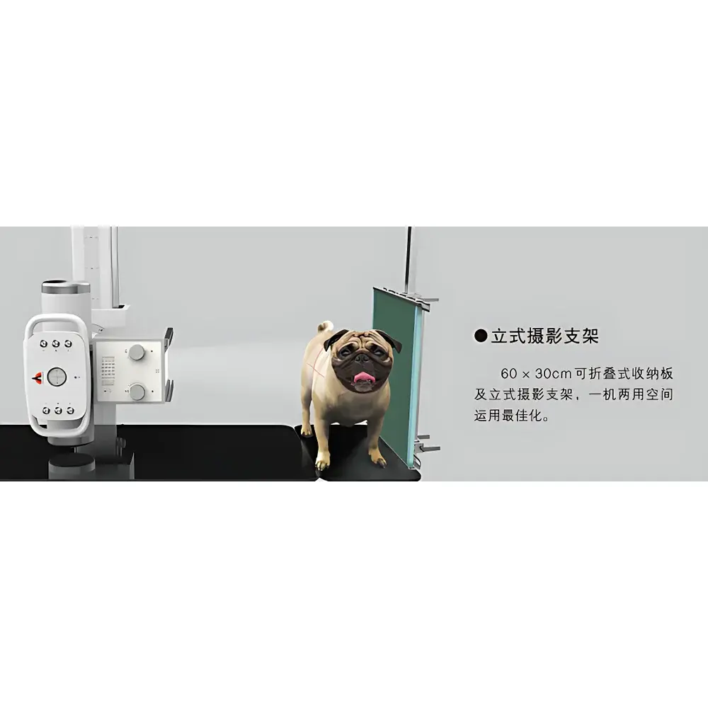 Aolong MXV100 Veterinary Digital Radiography System
