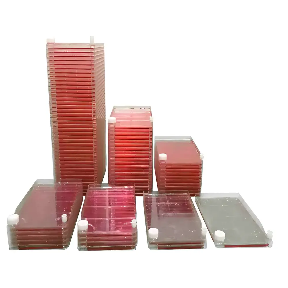 DHS Large-Scale Cell Culture System