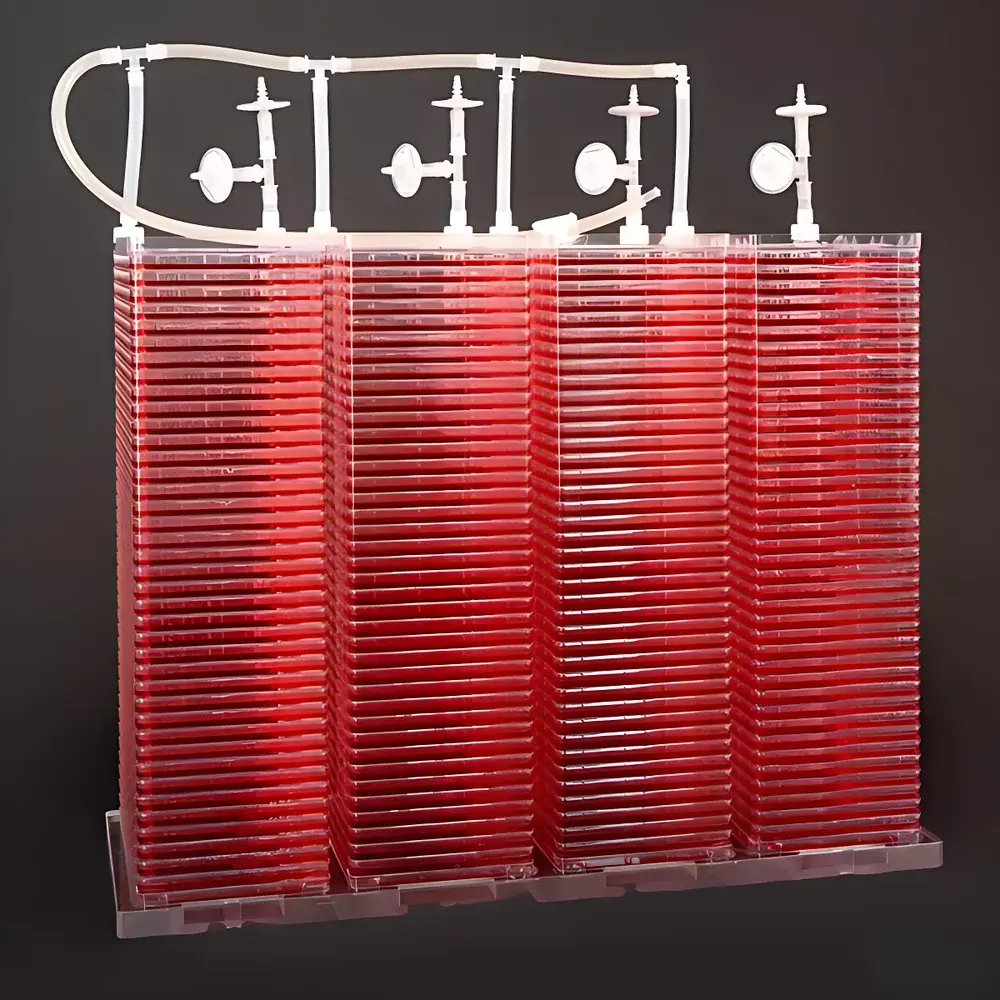 Cell Culture Roller Drum