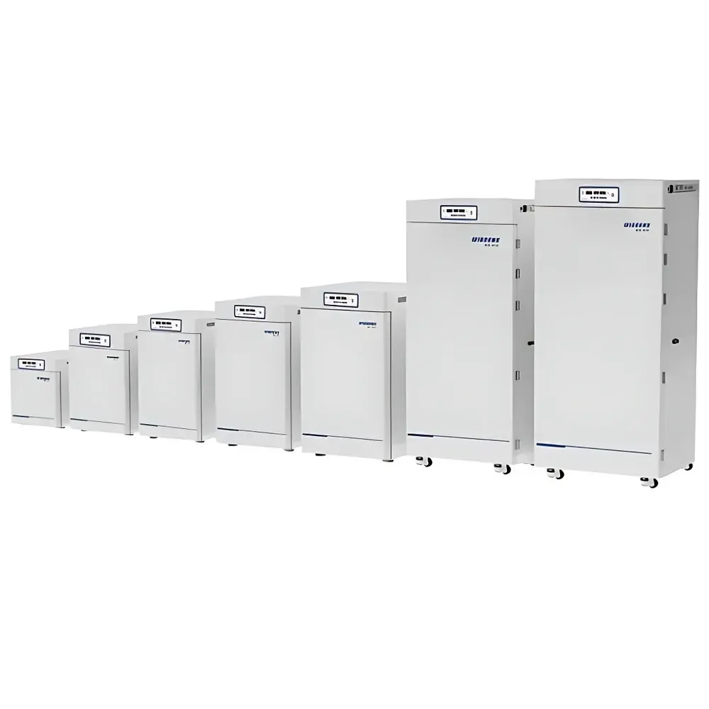 WIGGENS WH-15 Electric Constant Temperature Incubator