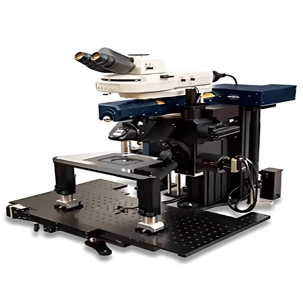 Bruker Investigator High-Performance Two-Photon In Vivo Imaging System