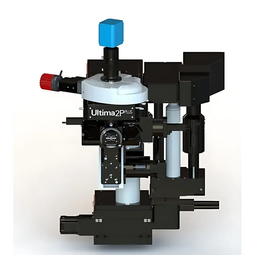Bruker 2PPlus Multimodal Two-Photon Imaging Platform
