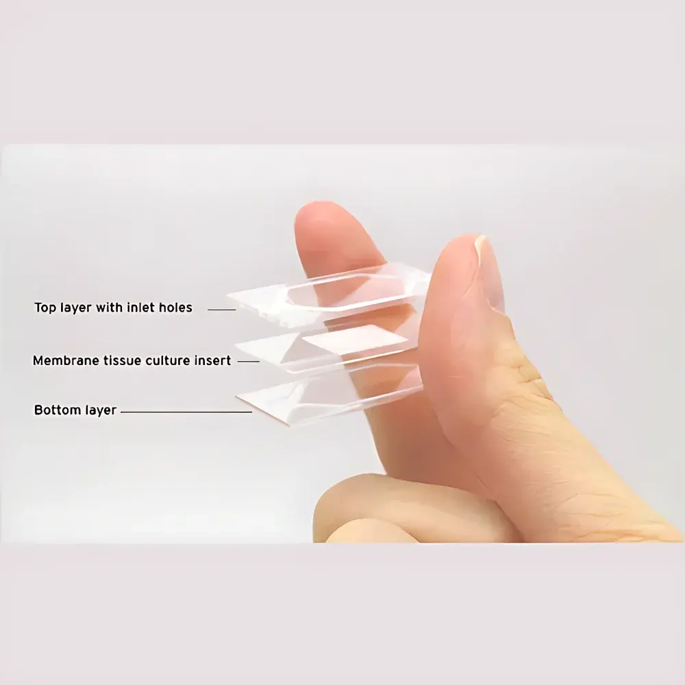 Micronit OOC Membrane Microfluidic Organ-on-a-Chip Chip