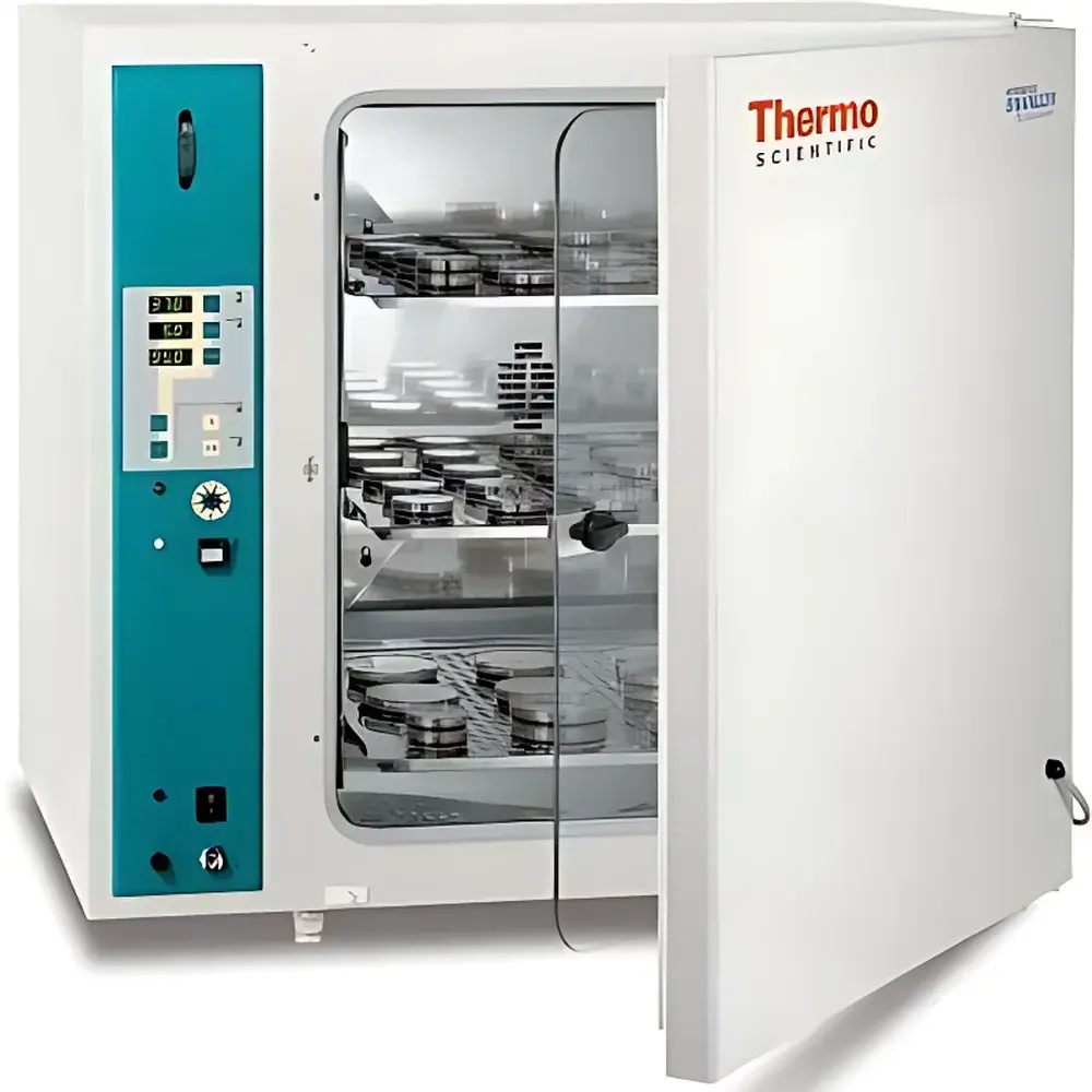 Thermo Scientific Heracell BBD6220 CO₂ Incubator