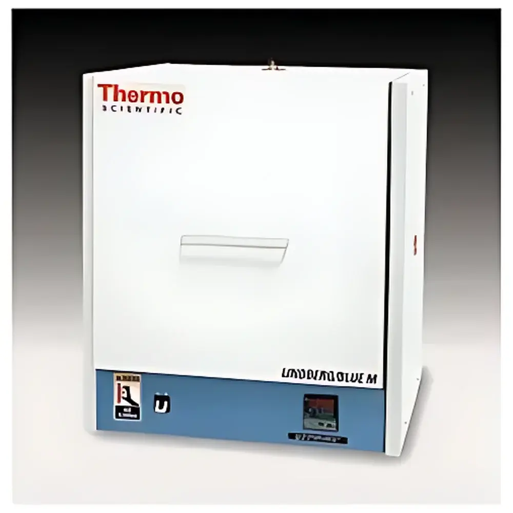 Thermo Fisher Scientific BF51732/BF51841/BF51842 LGO Series 1200 °C Box Furnace