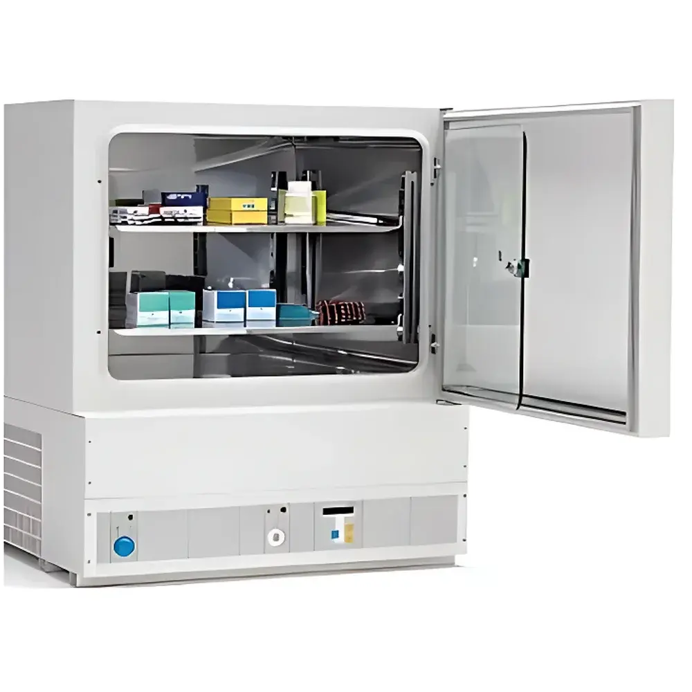 Thermo Scientific Heraeus BK6160 Low-Temperature Biochemical Incubator