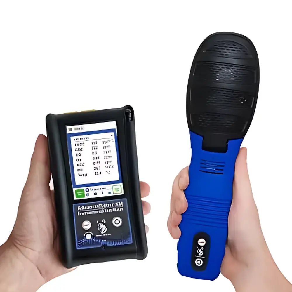 Graywolf DSII-3 Handheld Photoionization Detector (PID)