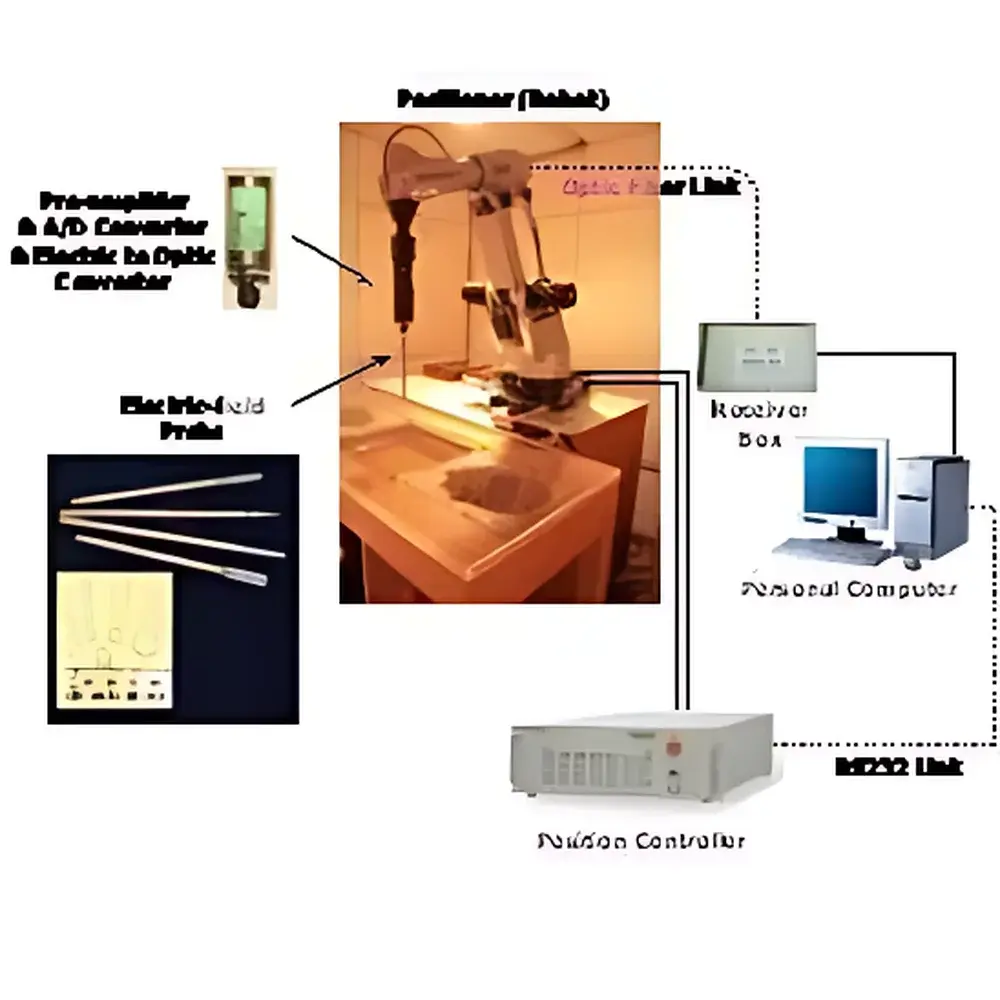 ESSA ESSAY-3 SAR Measurement System
