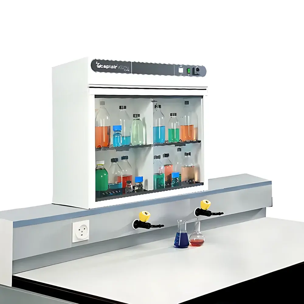 Erlab Captair Ministore Clean-Air Mini Reagent Cabinet