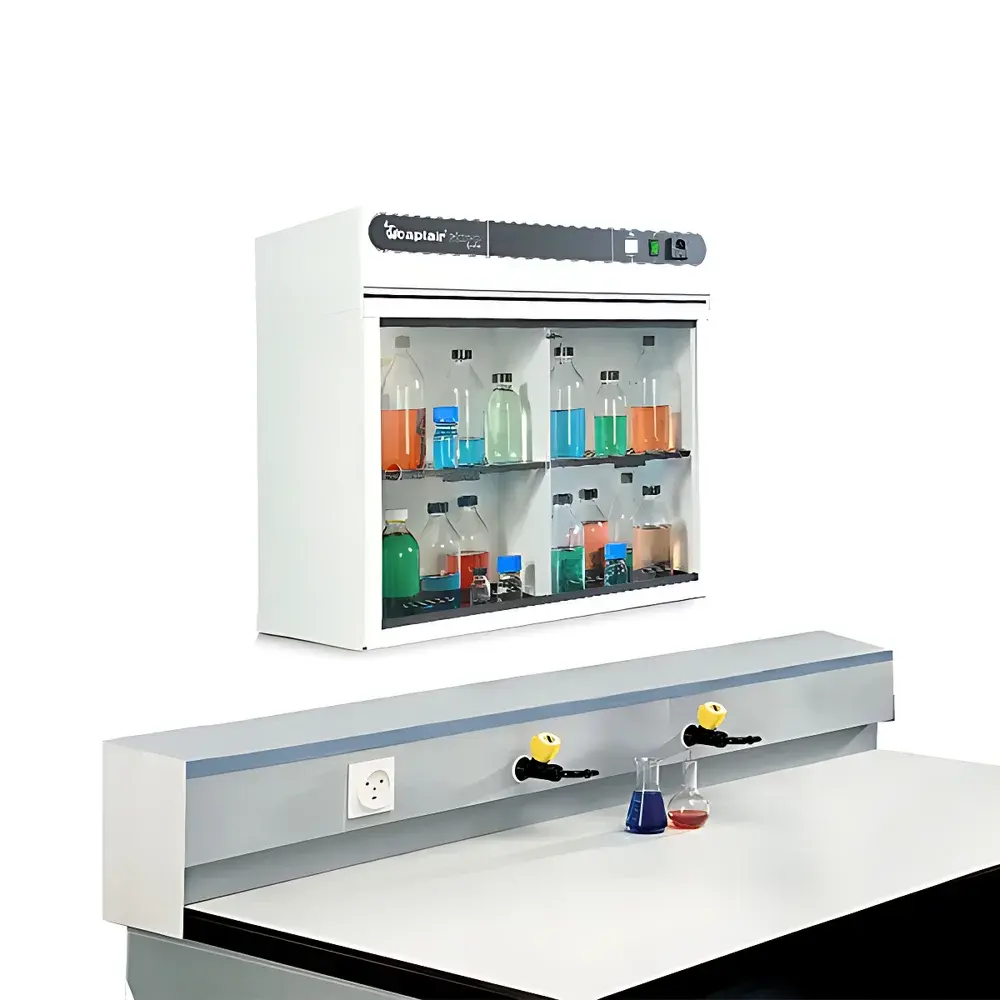 Erlab Captair Ministore Clean-Air Mini Reagent Cabinet