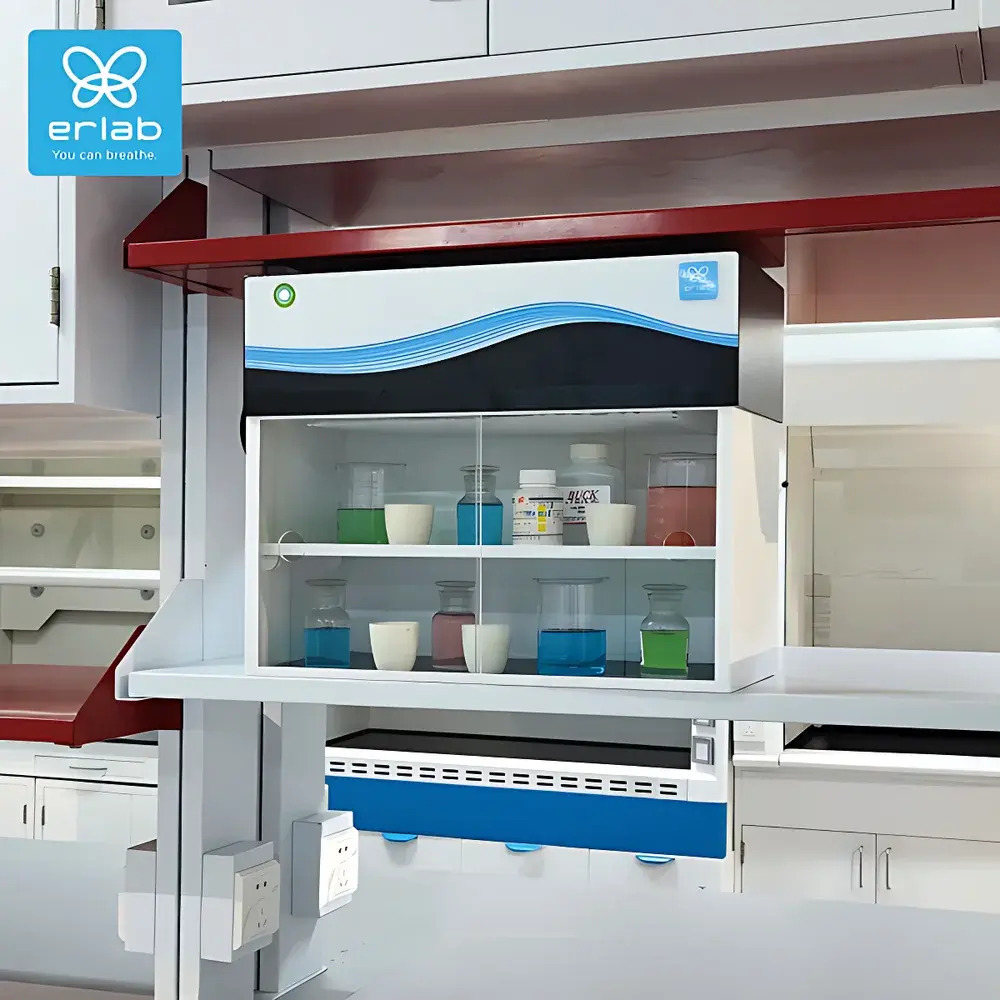 Erlab Captair Store 531 Benchtop Air-Cleaning Chemical Storage Cabinet