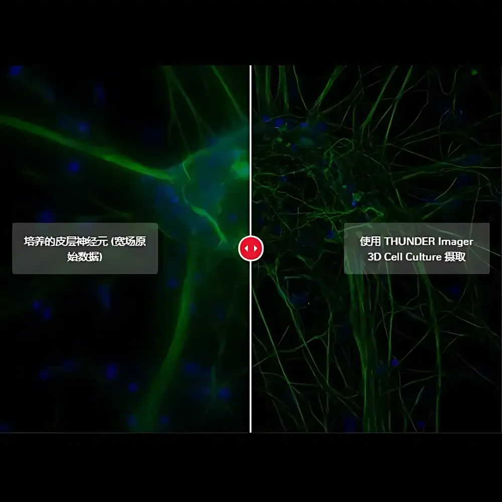 Leica THUNDER Imager 3D Live Cell Microscopy System