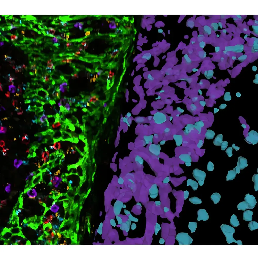 Leica STELLARIS SpectraPlex Confocal Microscope