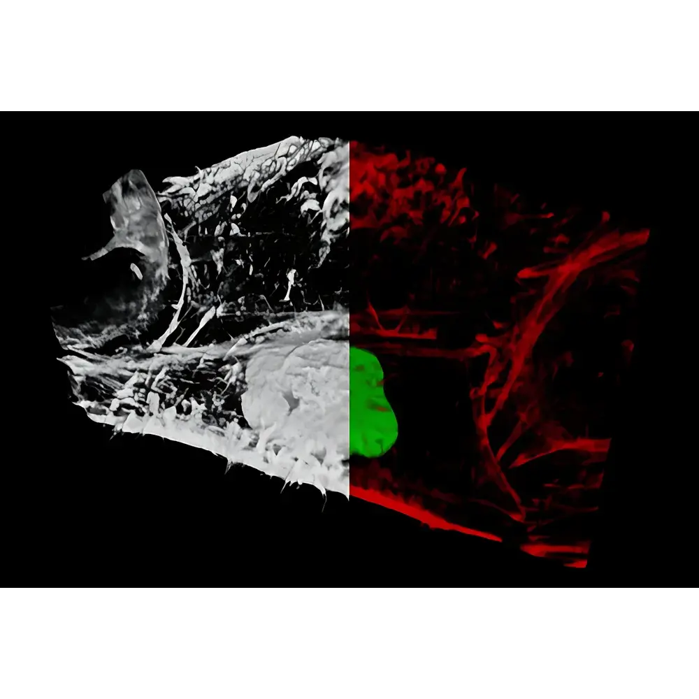 Leica STELLARIS 8 FALCON Fast Lifetime Contrast Confocal Microscope