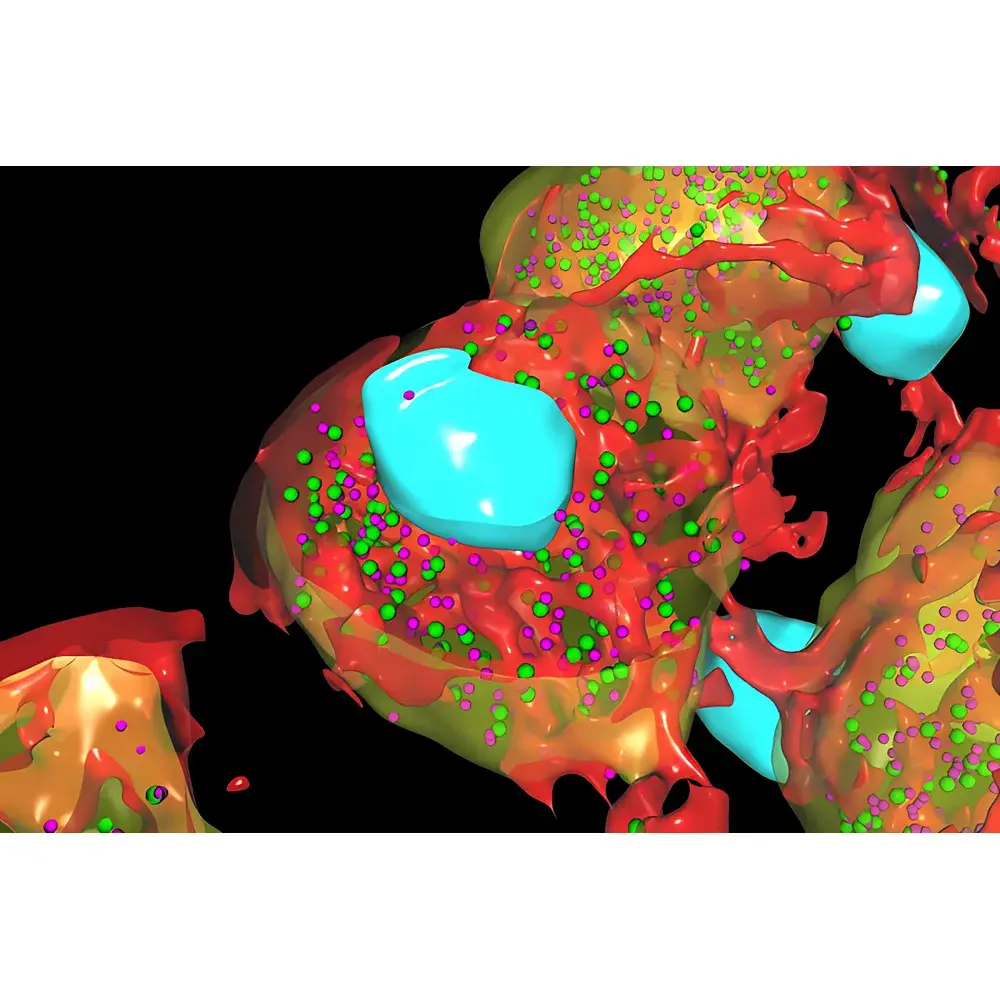 Leica Aivia AI-Powered Microscopic Image Analysis Software