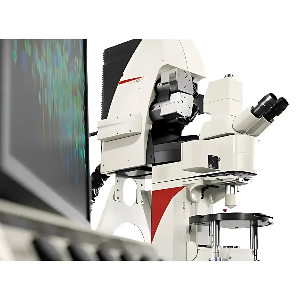 Leica TCS SP8 MP Multiphoton Confocal Microscope