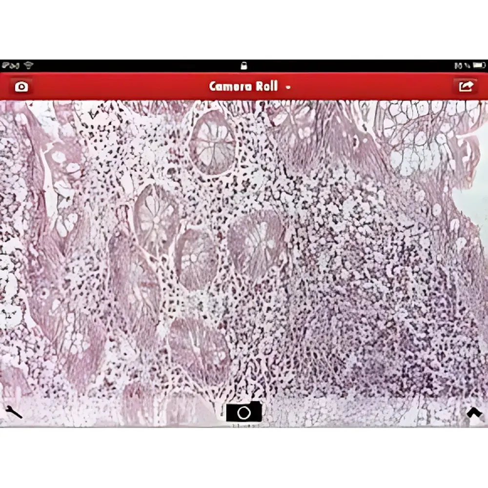 Leica DM Share Wireless Microscopy Imaging System