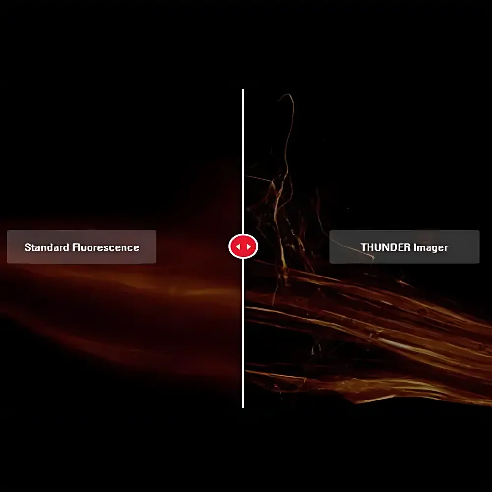 Leica THUNDER Imager Microscopic Image Analysis System