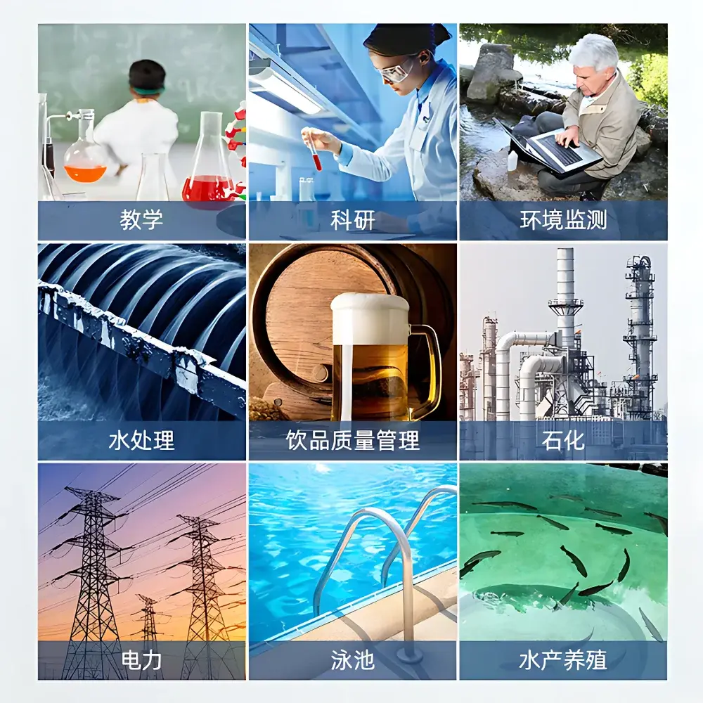 SANXIN SX811 Portable pH Meter