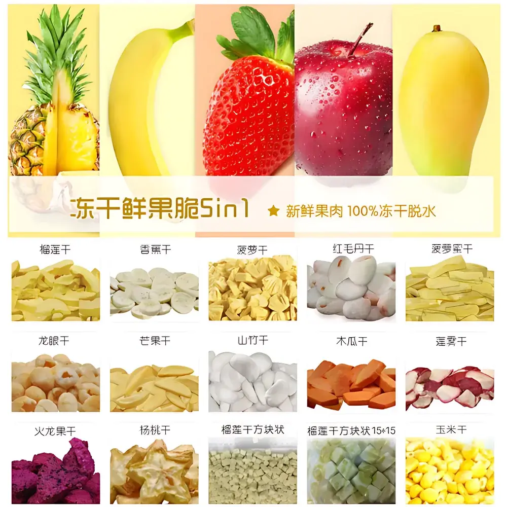 Tianfeng TF-FZG-15 Industrial-Scale Freeze Dryer for Vegetables, Herbs & Food Powders