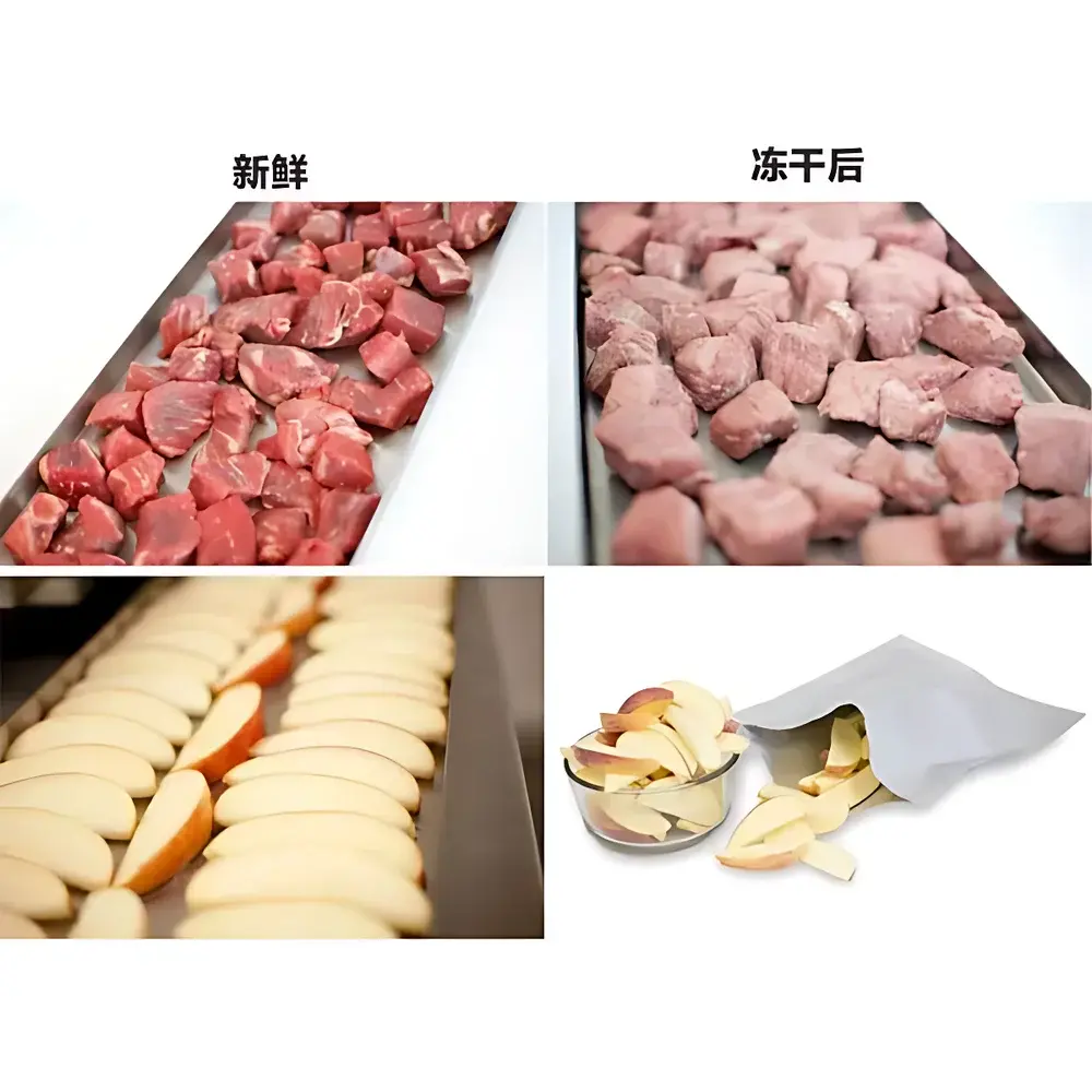 Tianfeng TF-FZG-20 Industrial-Scale Pharmaceutical & Food Freeze Dryer