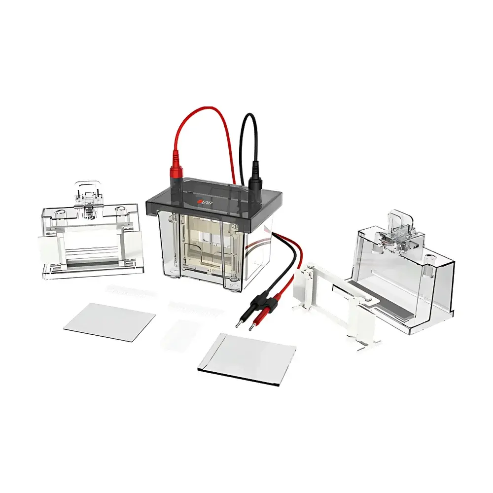 DLAB DL-Mini01 Mini Vertical Electrophoresis Cell