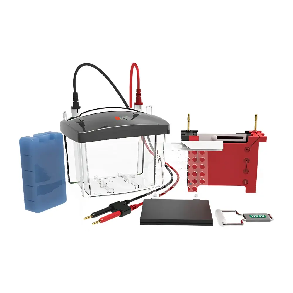 DLAB DL-ZY03 Mini Transfer Electrophoresis Cell