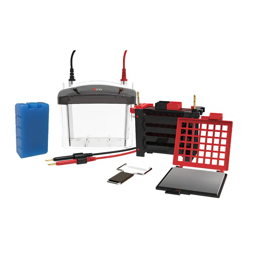 DLAB DL-ZY04 Mini Transfer Electrophoresis Cell