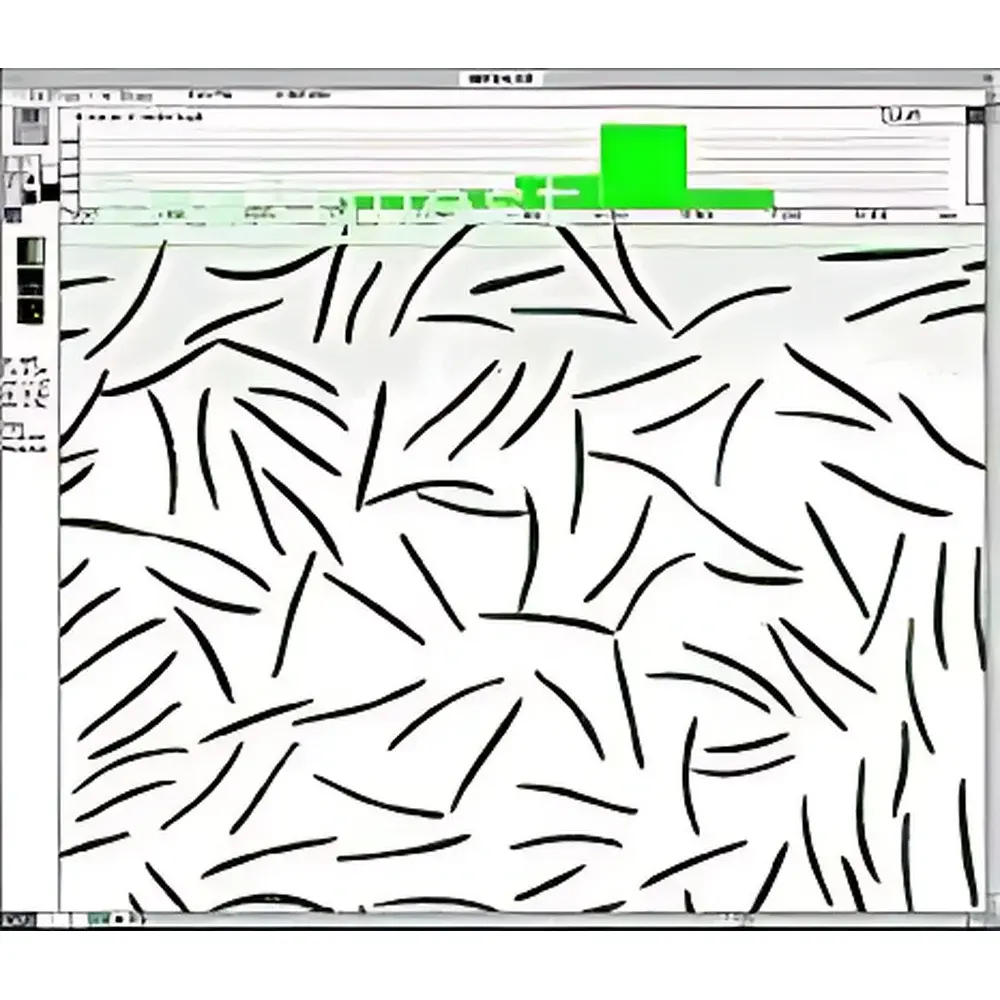 WinSEEDLE Seed and Conifer Needle Image Analysis System
