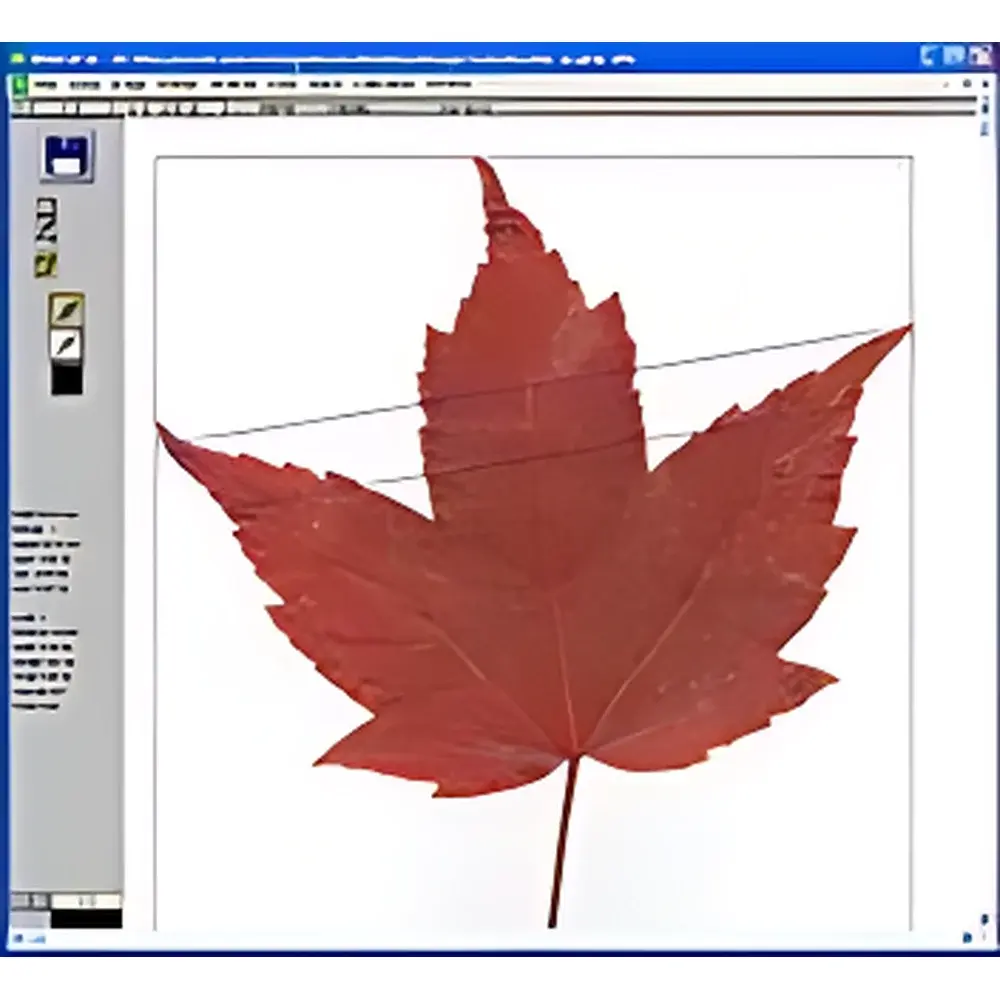 WinFOLIA Leaf Area Analysis System